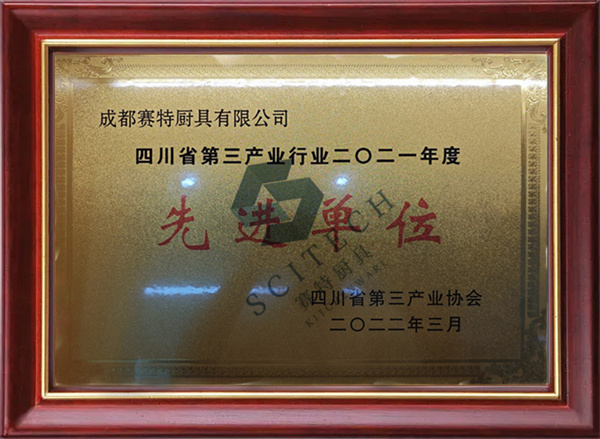 四川省第三產業（yè）行業二〇二一年（nián）度 *單位